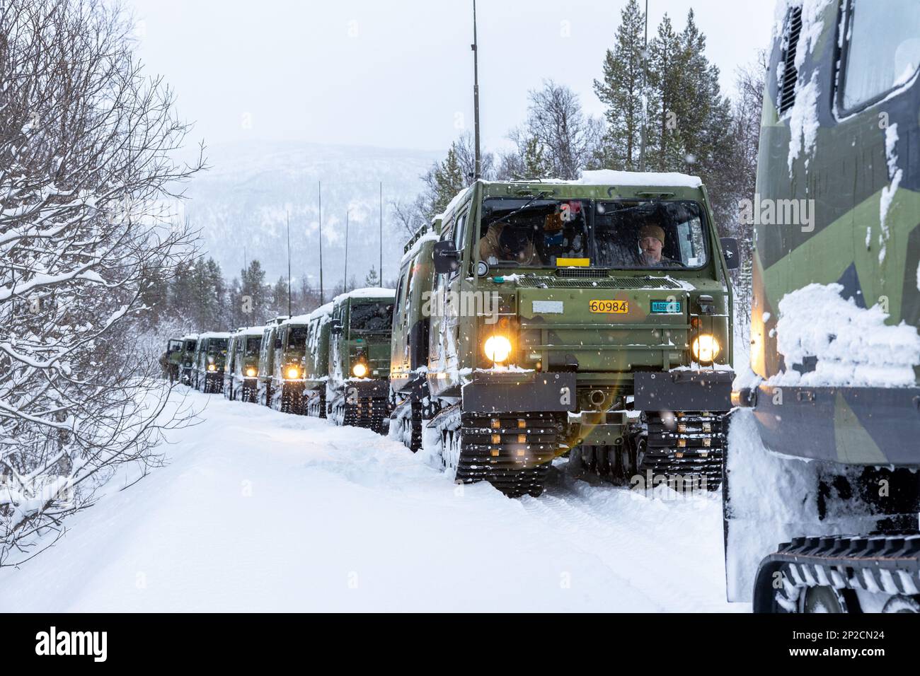U.S. Marines with 2d Combat Engineer Battalion, 2d Marine Division and Combat Logistics Battalion 2, Combat Logistics Regiment 2, 2nd Marine Logistics Group, operate the Bandvagn-206 on a convoy during Marine Rotational Force- Europe 23.1 in Setermoen, Norway, Jan. 26, 2023. MRF-E 23.1 focuses on regional engagements throughout Europe by conducting various exercises, mountain-warfare training, and military-to-military engagements, which enhances the overall interoperability of the U.S. Marine Corps with allies and partners. Stock Photo