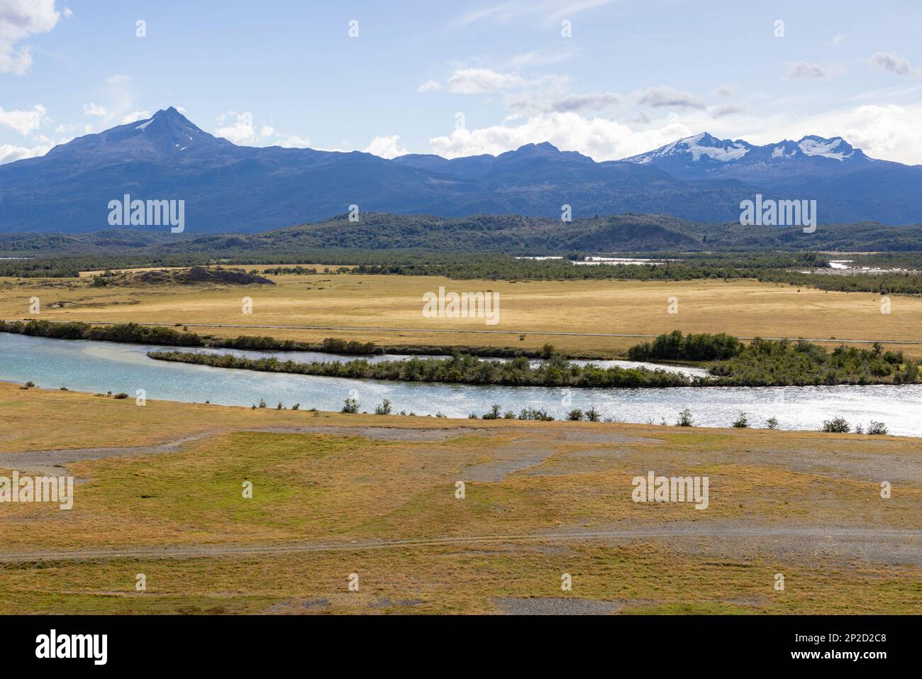 Patagonian forest, golden Pampas and River Serrano at Torres del Paine National Park in Chile, Patagonia, South America Stock Photo