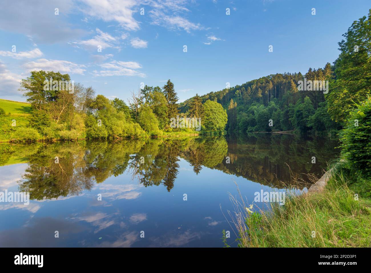 Passau: river Ilz, nature reserve Halser Ilzschleifen in Niederbayern, Lower Bavaria, Bayern, Bavaria, Germany Stock Photo