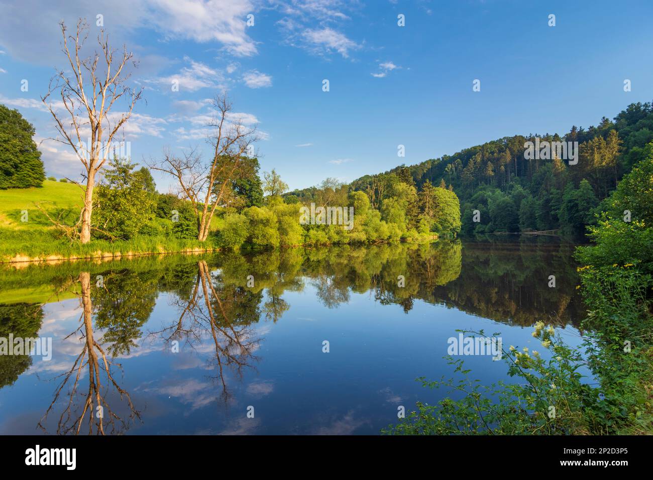 Passau: river Ilz, nature reserve Halser Ilzschleifen in Niederbayern, Lower Bavaria, Bayern, Bavaria, Germany Stock Photo