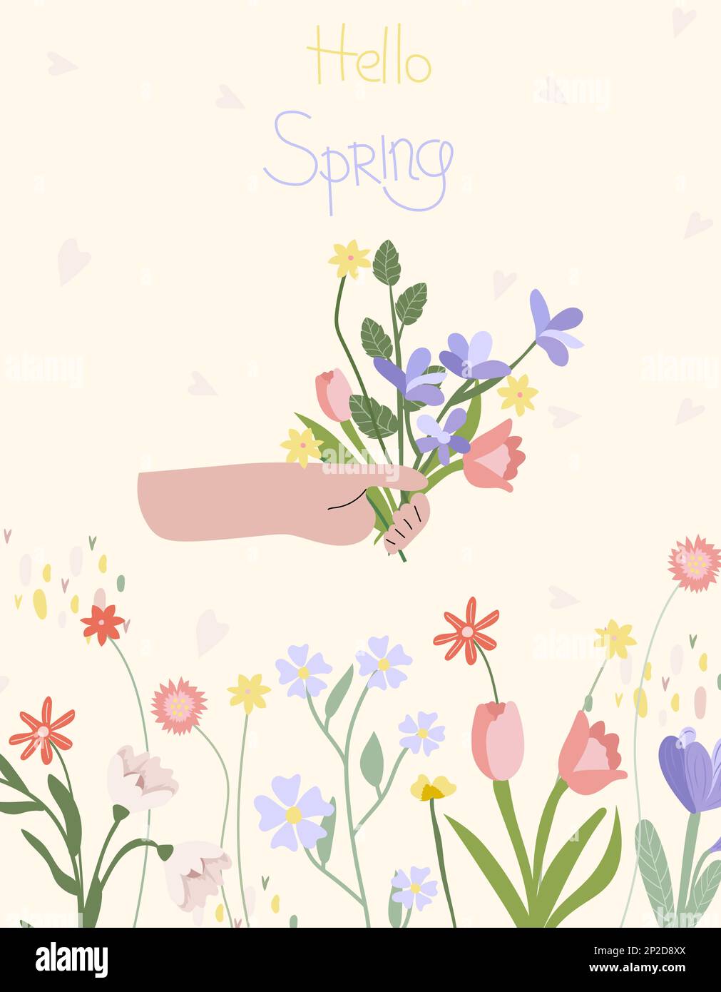 A hand holding a bright bouquet of wildflowers and the inscription Hello spring. Spring flowering. Concept of holiday, joy, happiness. Vector graphics. Minimalist Vector illustration Stock Vector