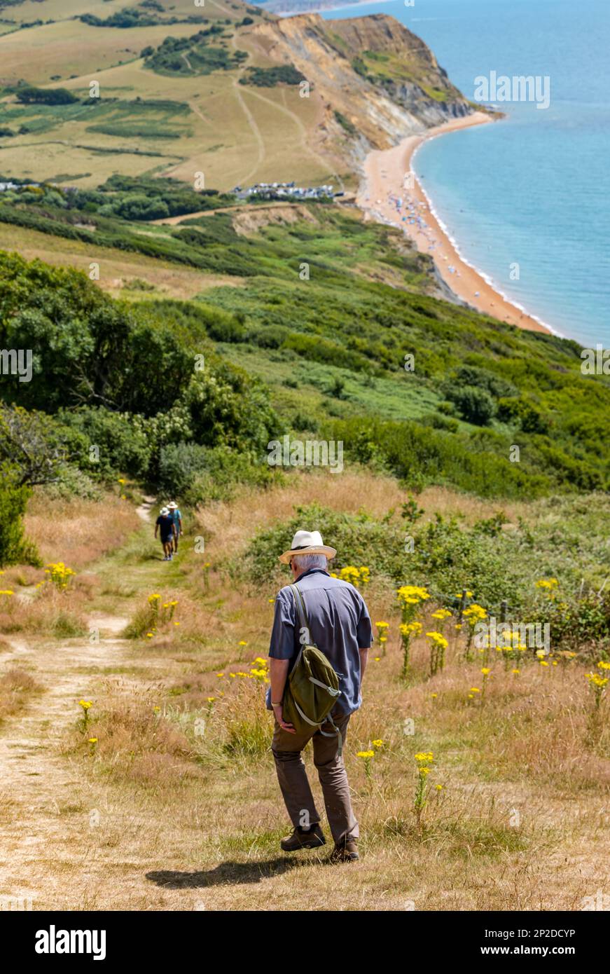 People walking downhill from Golden Cap to Seatown beach on Jurassic coastal path, Dorset, England, UK Stock Photo