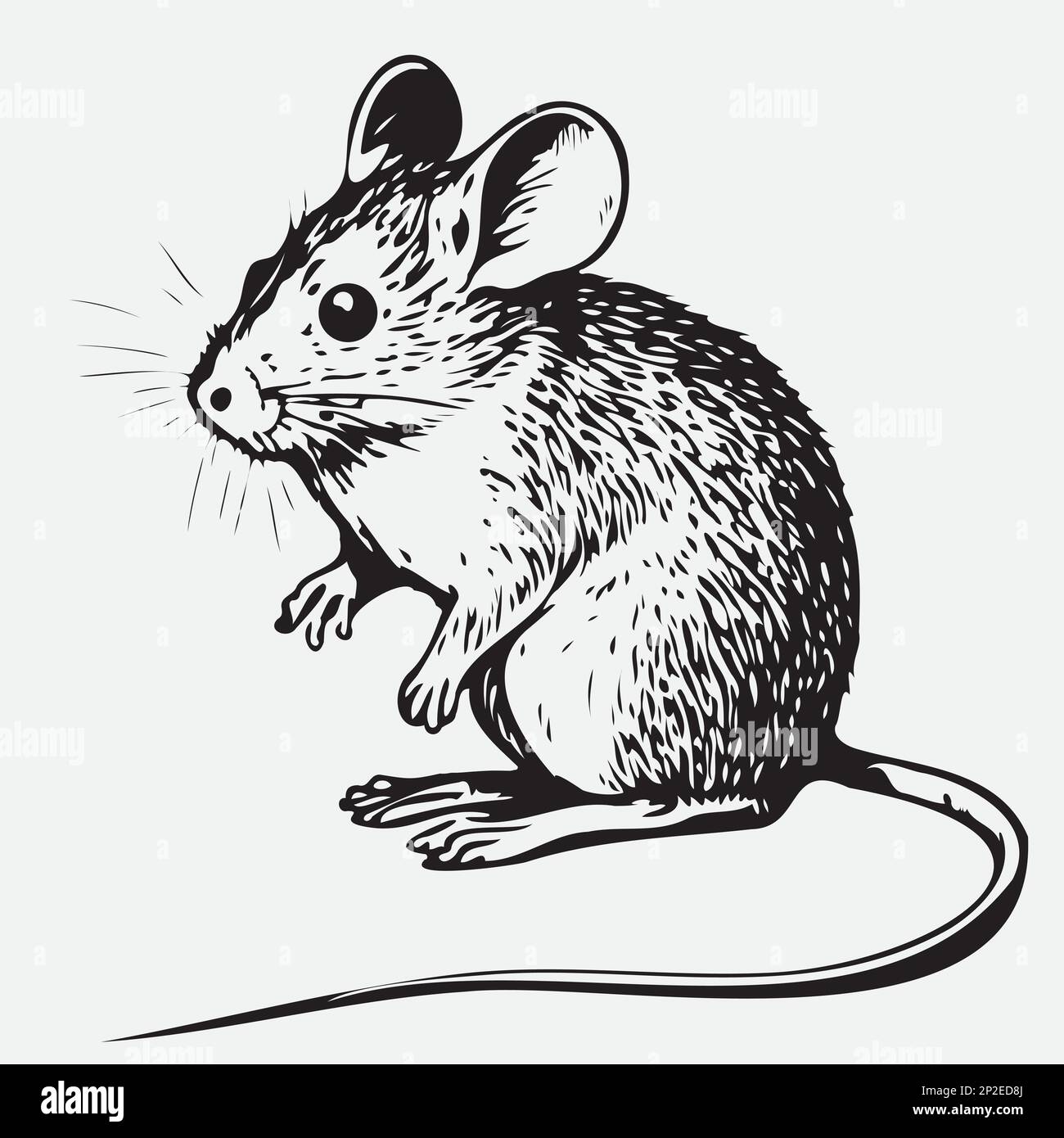 Hand drawn mouse or rat. Sketch, vector illustration. Stock Vector