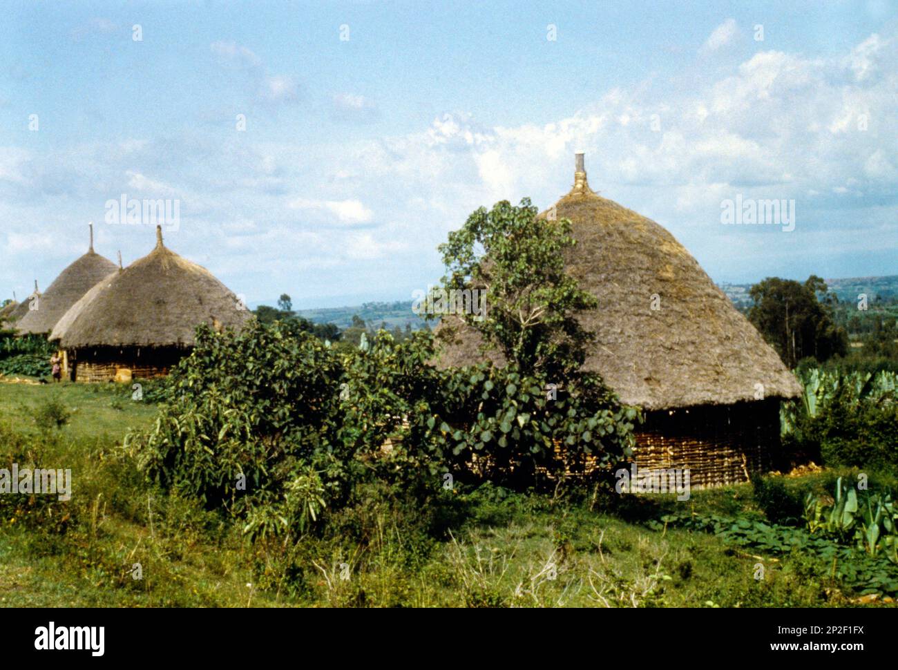Ethiopia Nr Glibe Thatched Roof Huts in Village Stock Photo
