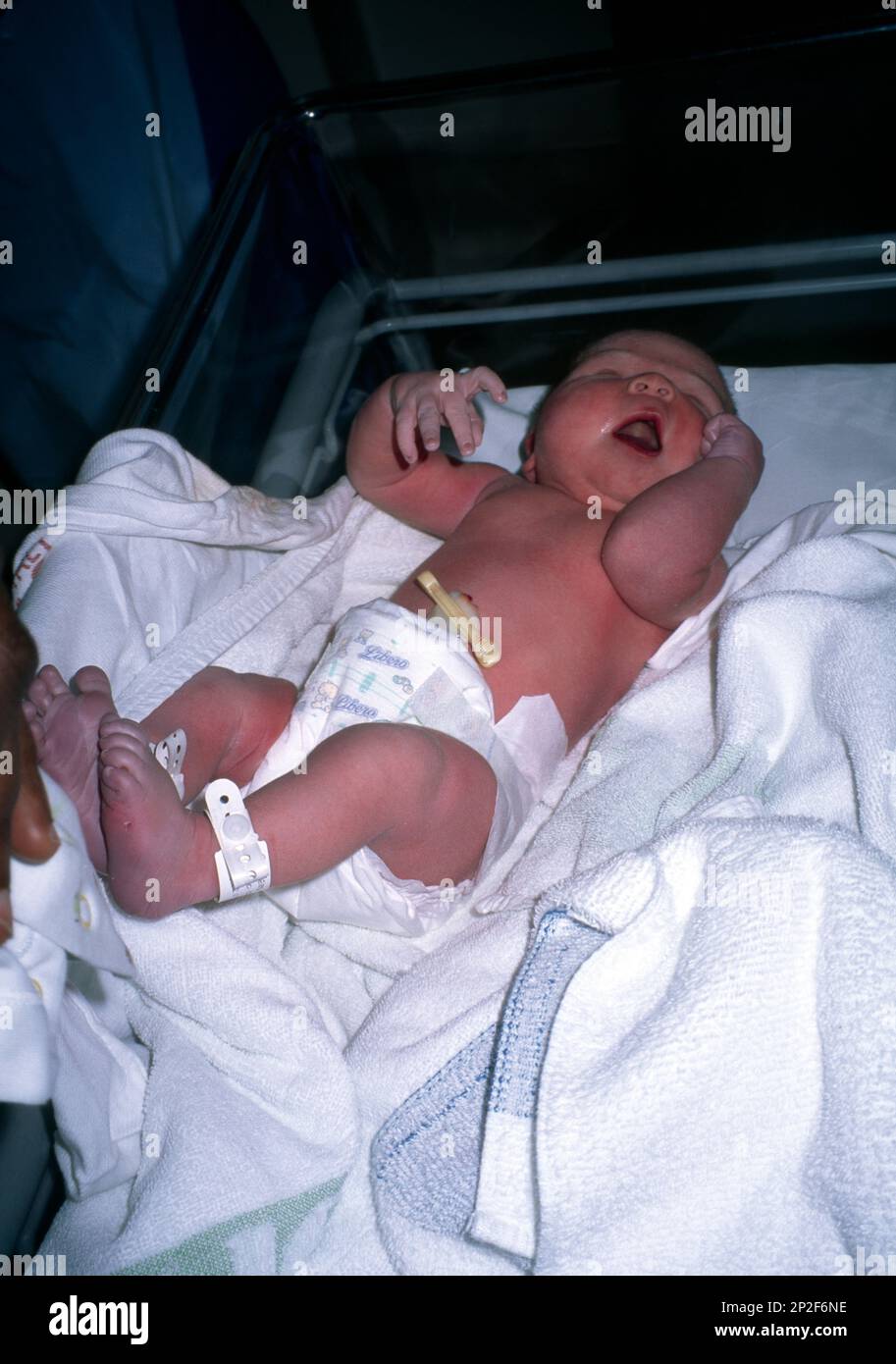 New Born Baby Girl in Cot Crying with Umbilical Cord Clamp in Delivery Room Stock Photo Alamy