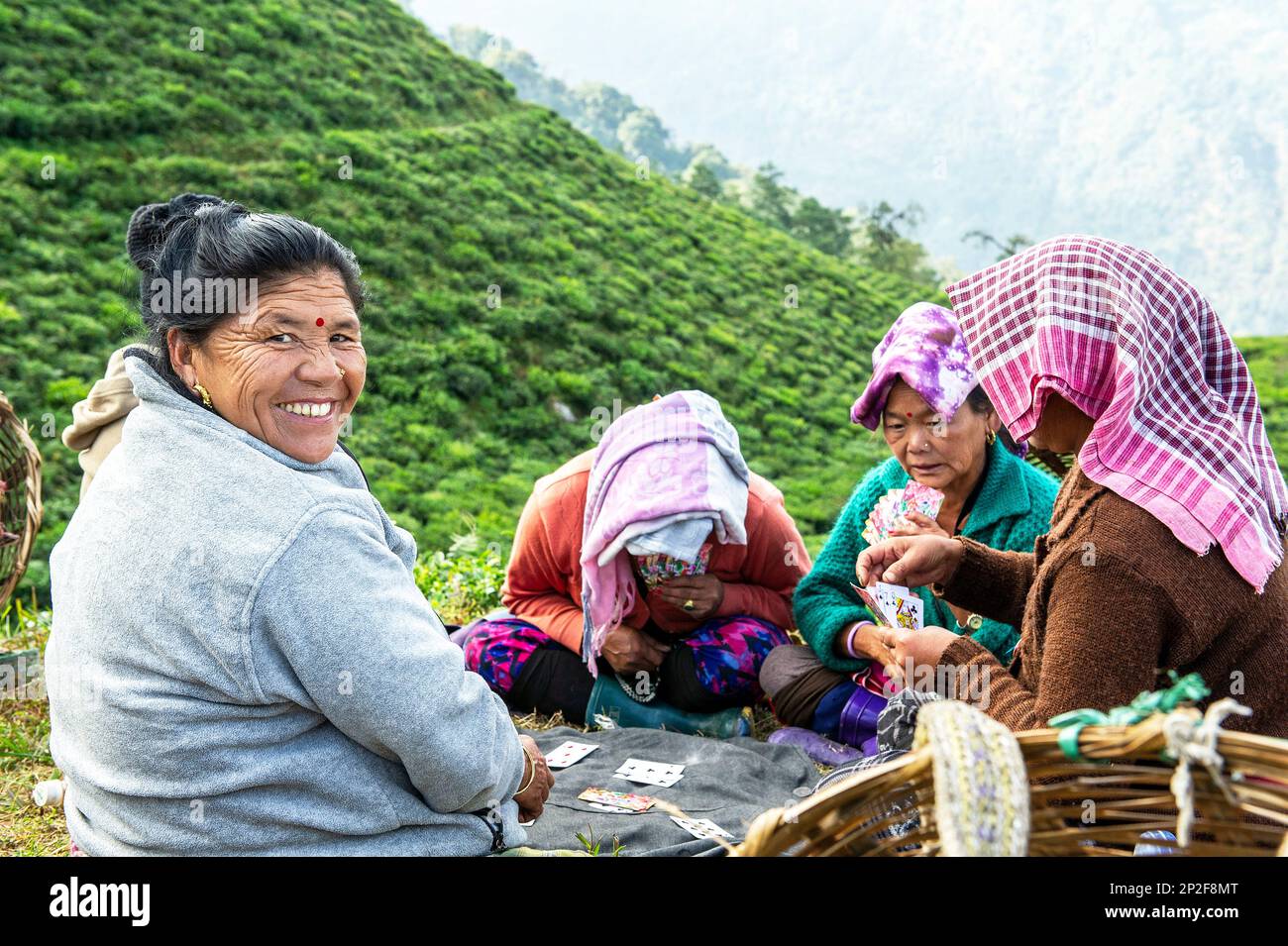 Female tea pickers playing cards on a break from work at Temi Tea Estate, Sikkim, India Stock Photo