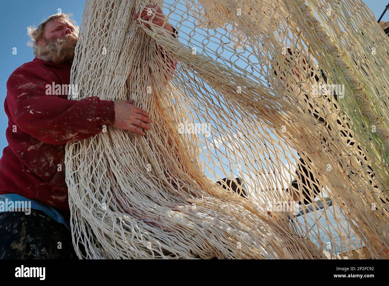 In this April 29, 2015 photo, John Gatcombe, a deckhand aboard the fishing  vessel Voyager, gathers a huge herring net, as he loads it onto the back of  a truck in New