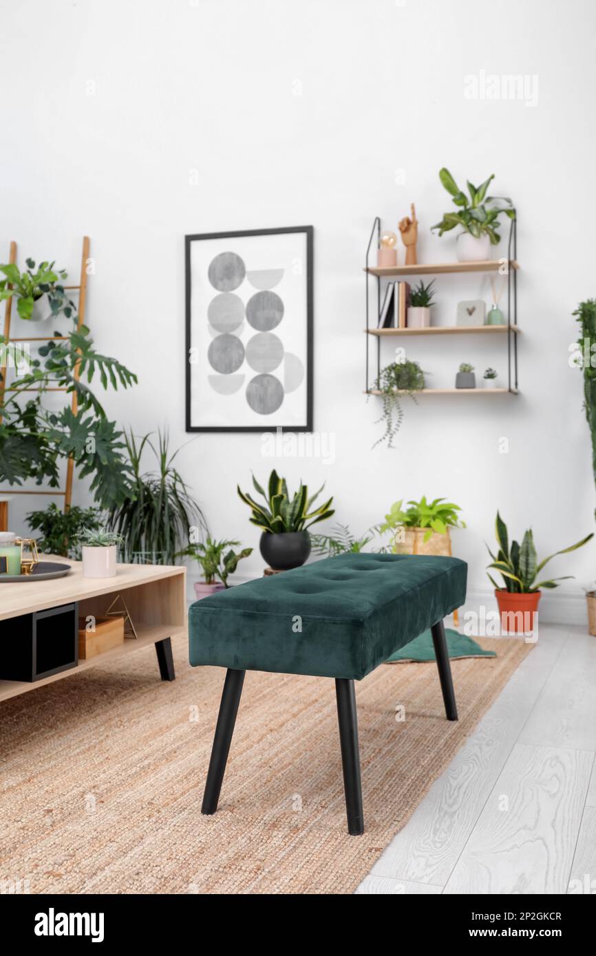 Living room interior with modern furniture and houseplants Stock Photo ...