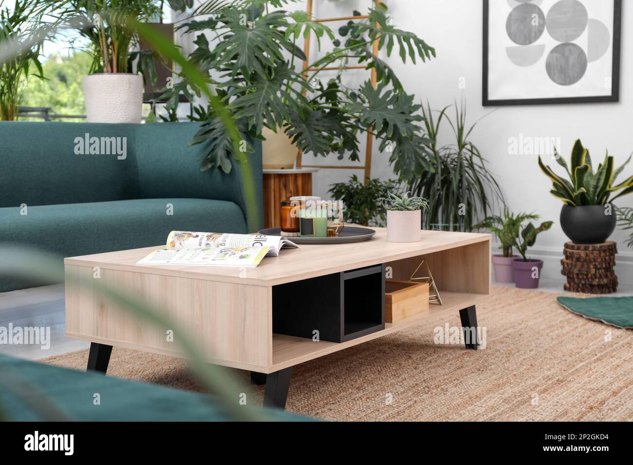Living room interior with modern furniture and houseplants Stock Photo ...