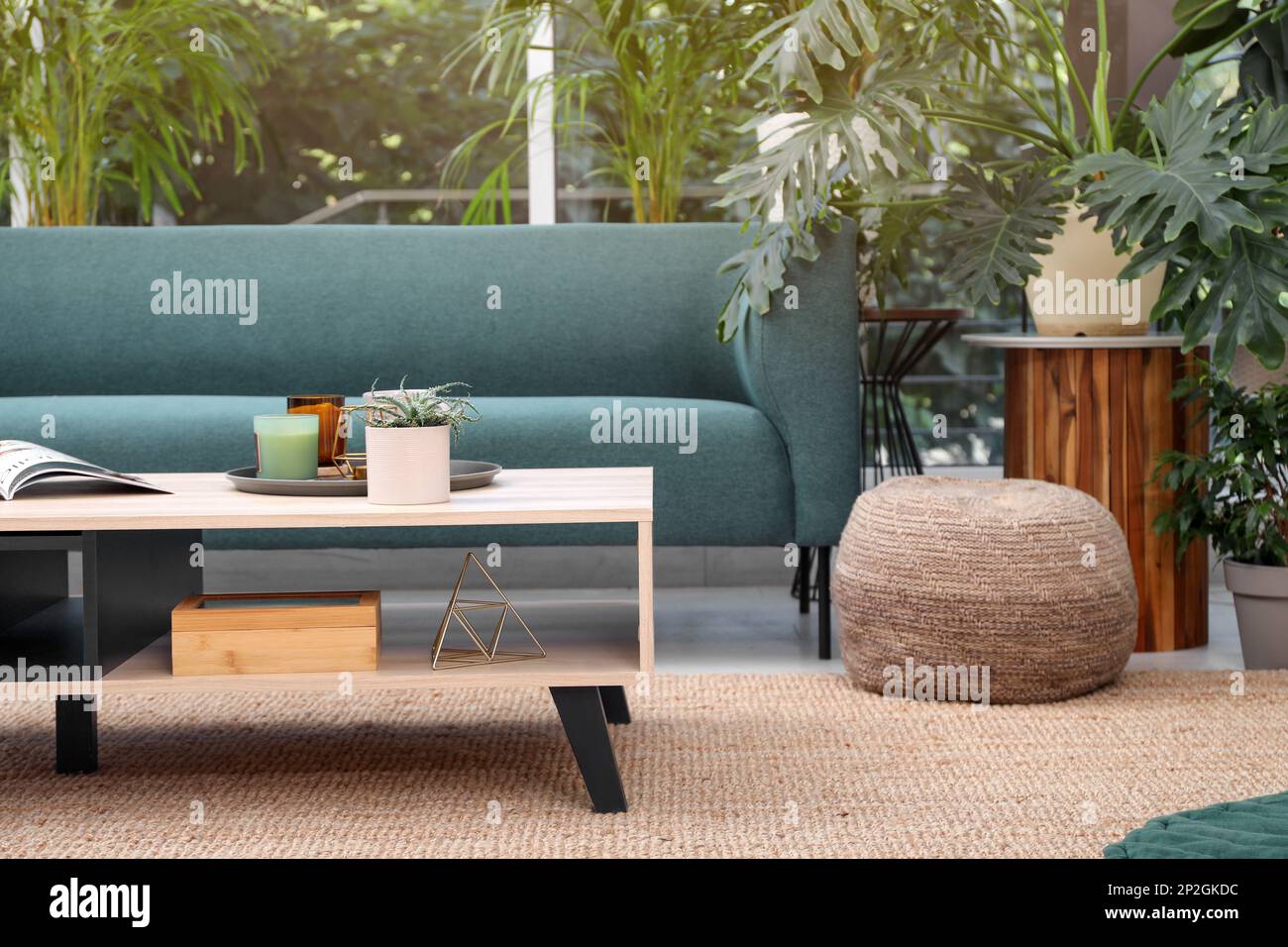 Living room interior with modern furniture and houseplants Stock Photo ...