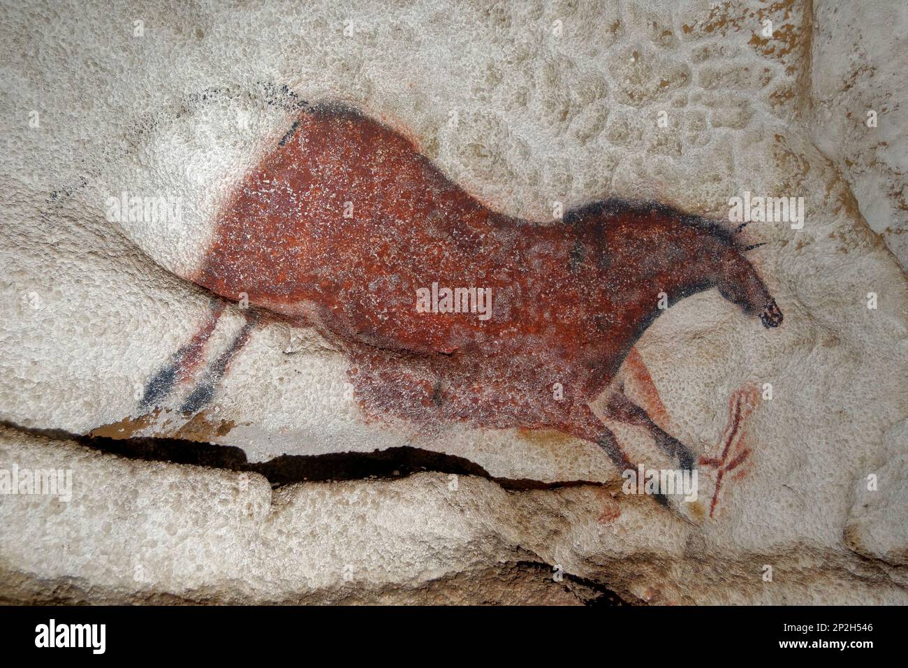 Galloping horse. Caves painting of Lascaux, ca 16.00015.000 BC. Found in the collection of the