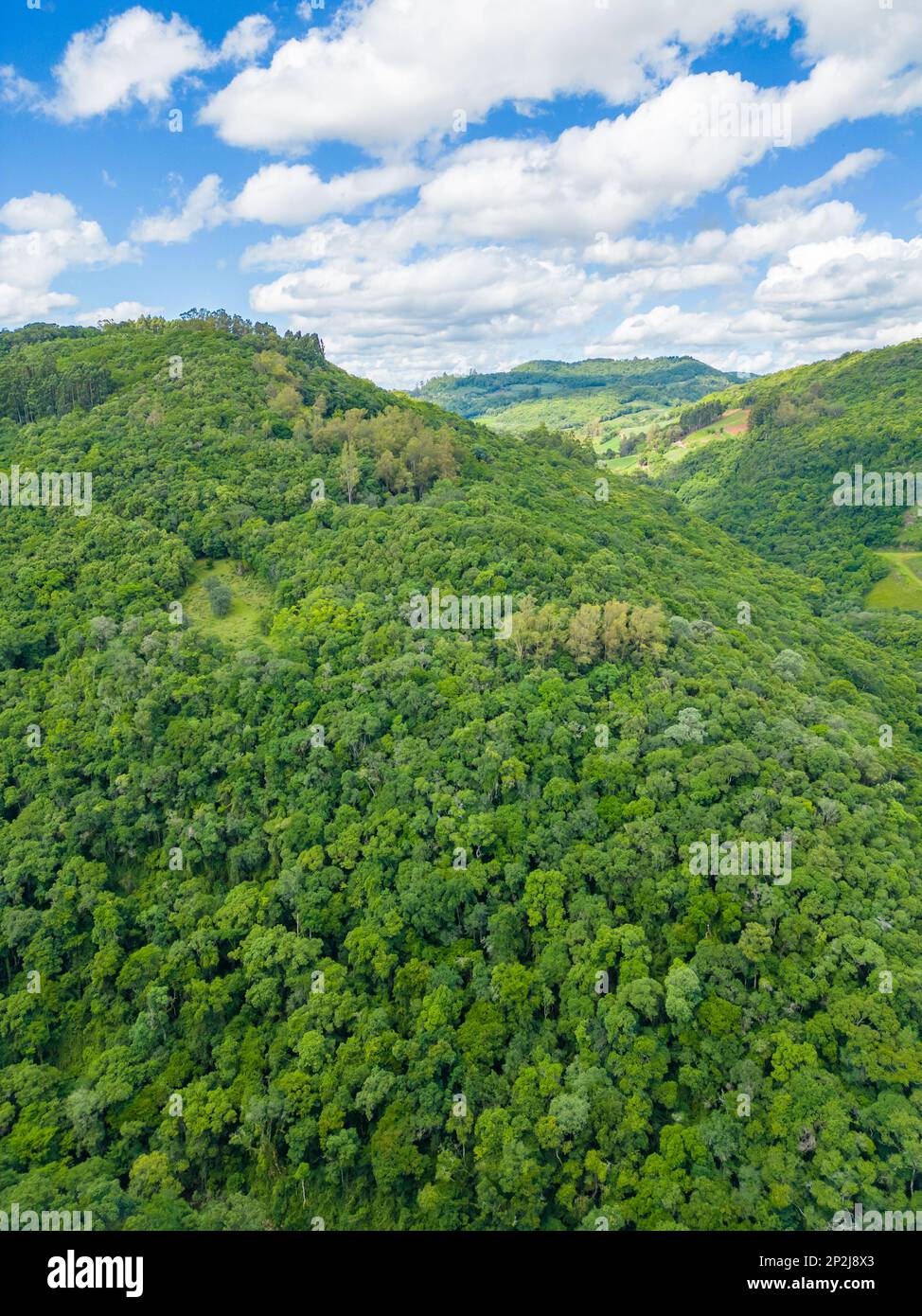 Aerial view of a forest in a valley, Otavio Rocha, Flores da Cunha, Rio Grande do Sul, Brazil Stock Photo