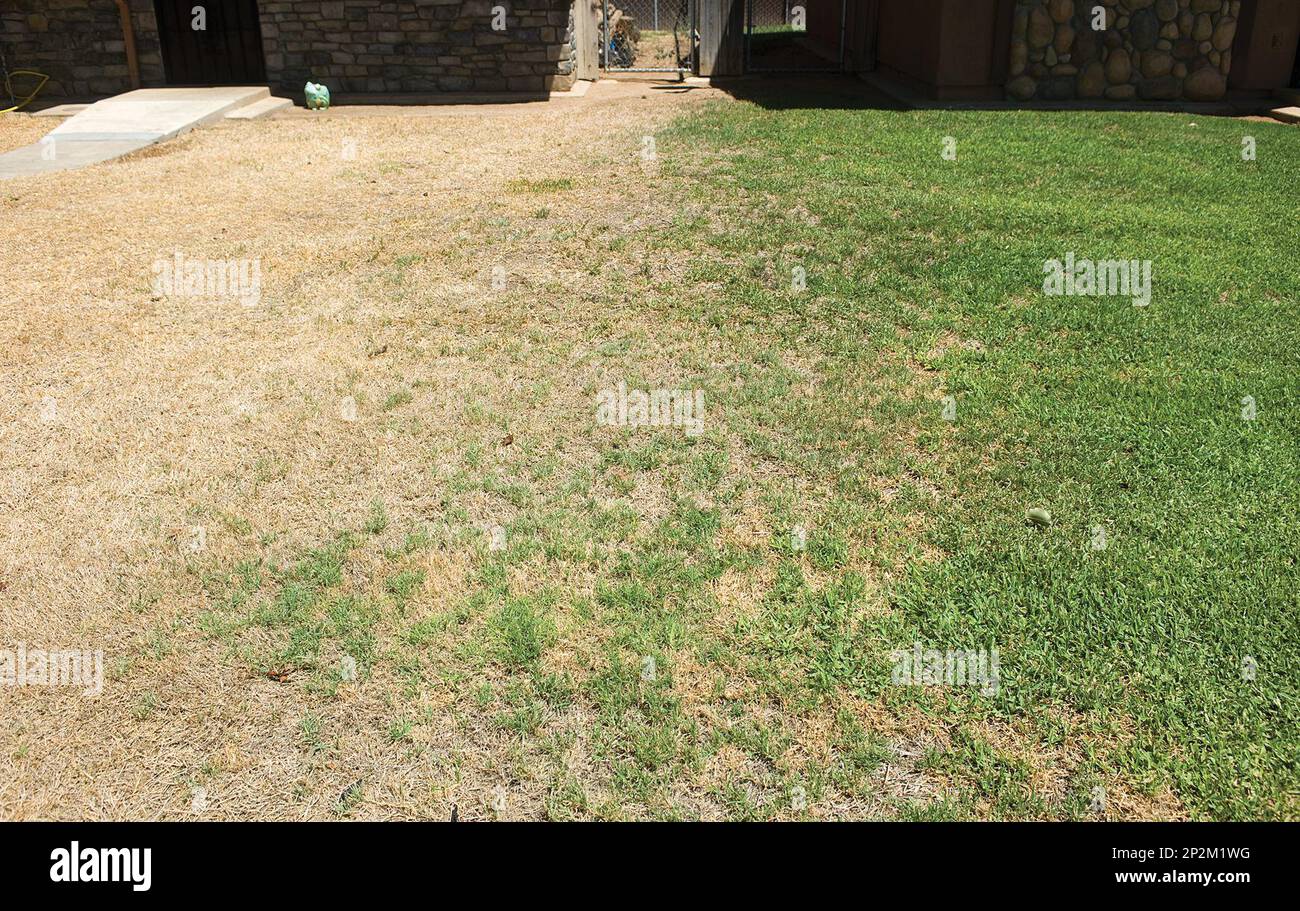 The Housing Authority of Tulare County sent letters to tenants warning that they must water and