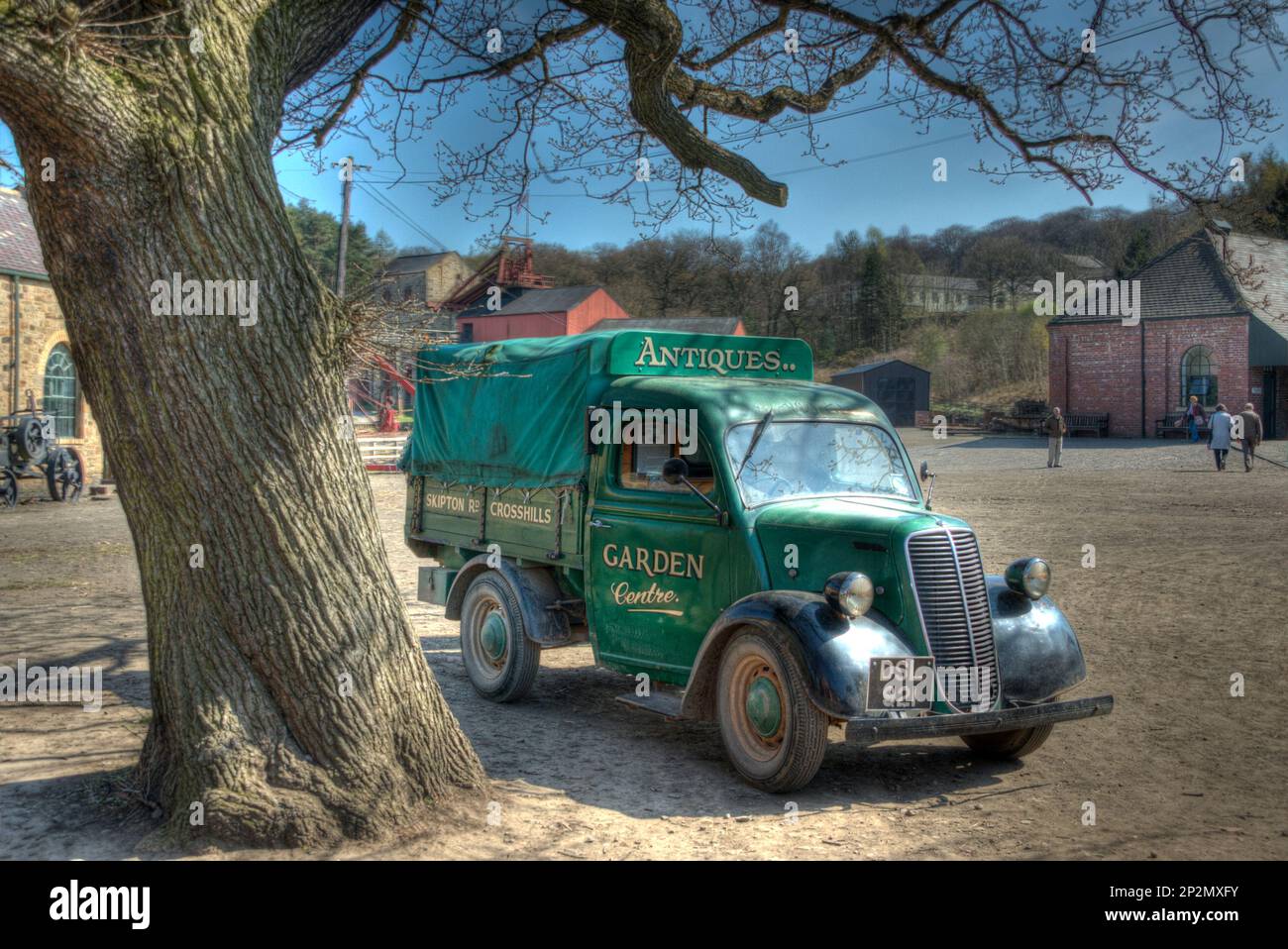 Green tree truck hi-res stock photography and images - Alamy