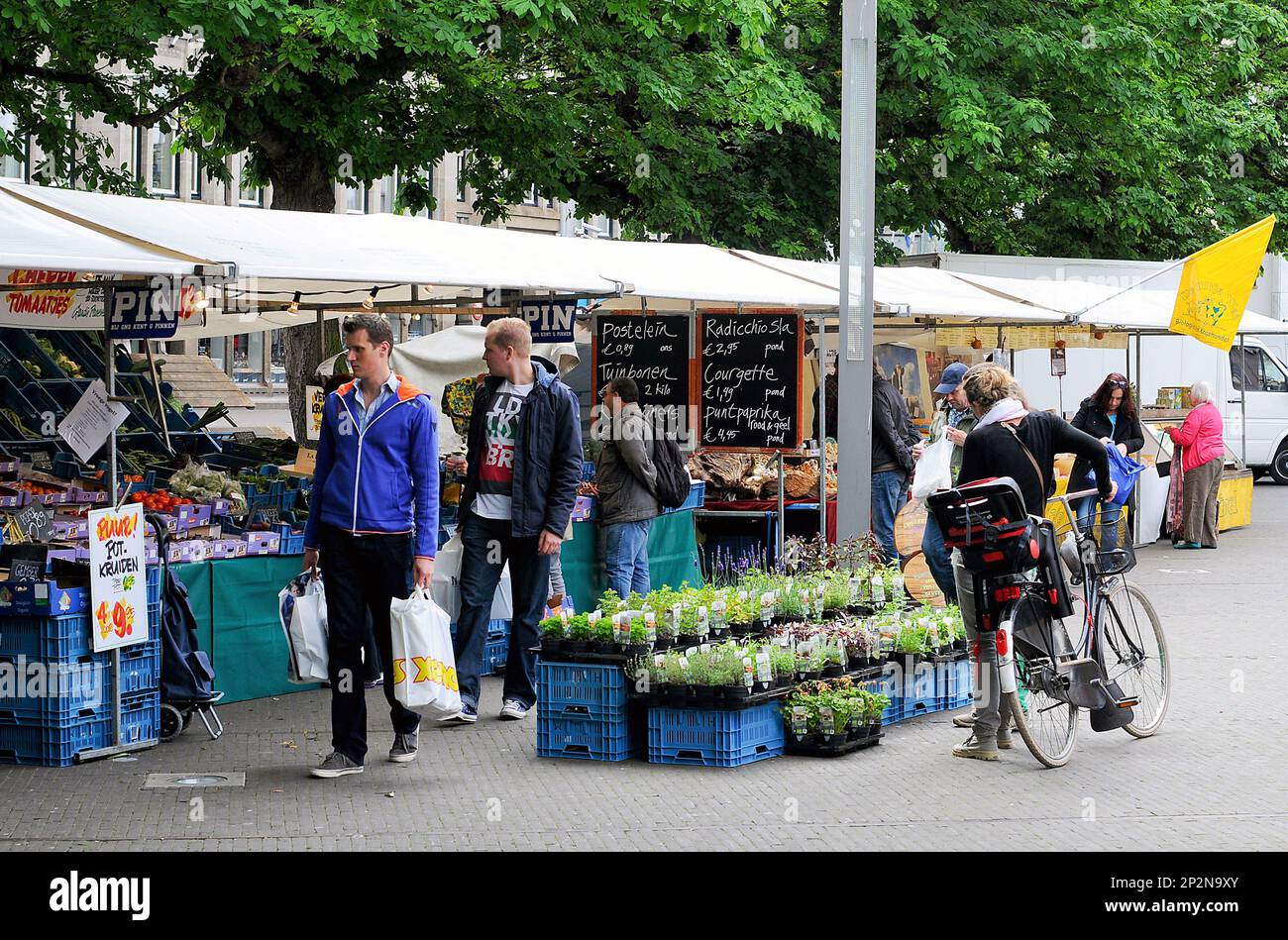 Feat vrijgesteld pop A lively farmer's market in Den Haag, The Netherlands. (Cal Sport Media via  AP Images Stock Photo - Alamy