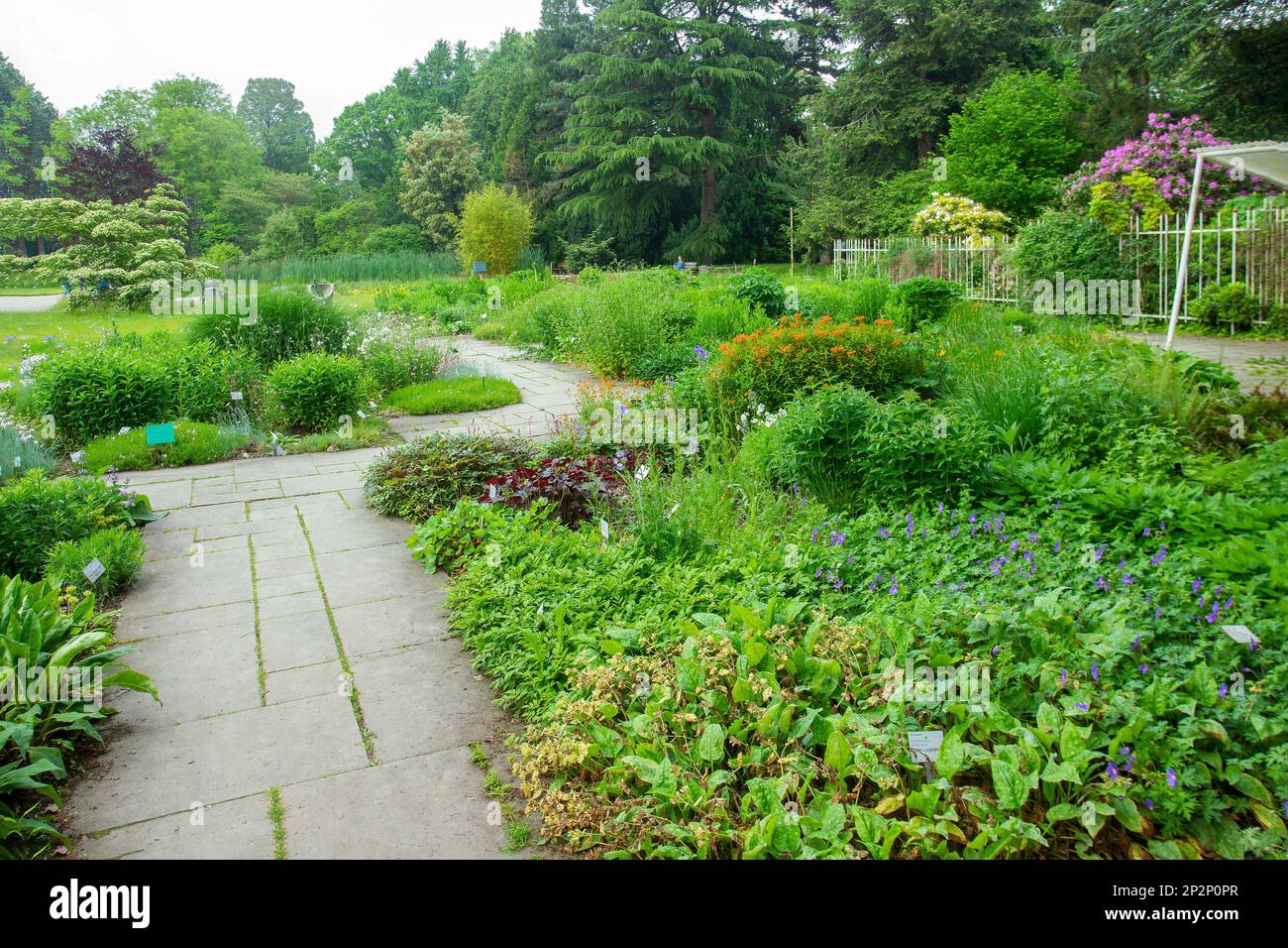 Botanical garden "Flora" in Cologne with plates with the names of