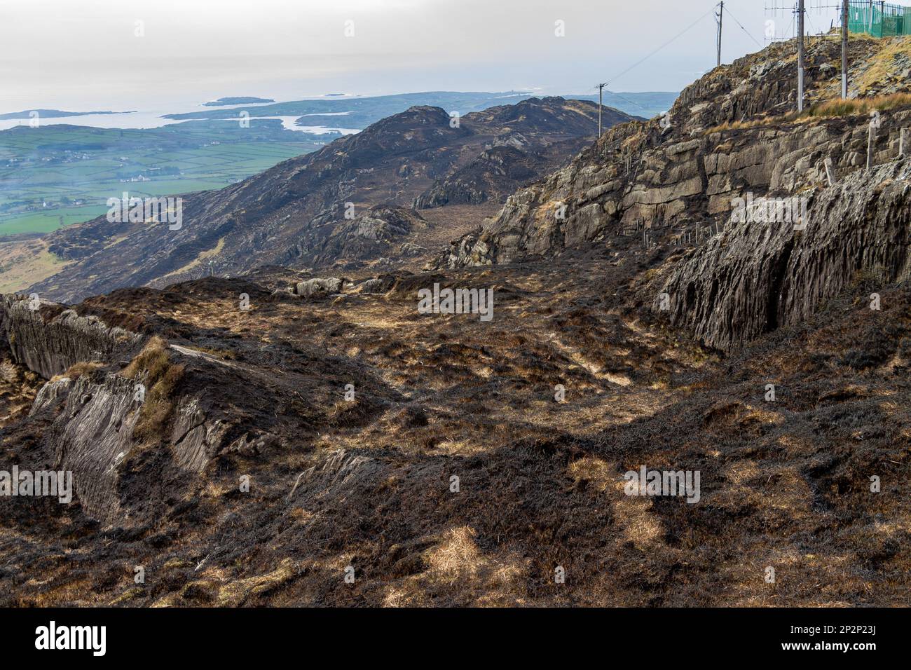 Mount Gabriel West Cork Ireland Scorched Earth after Gorse Fire burnt the mountain vegetation Stock Photo