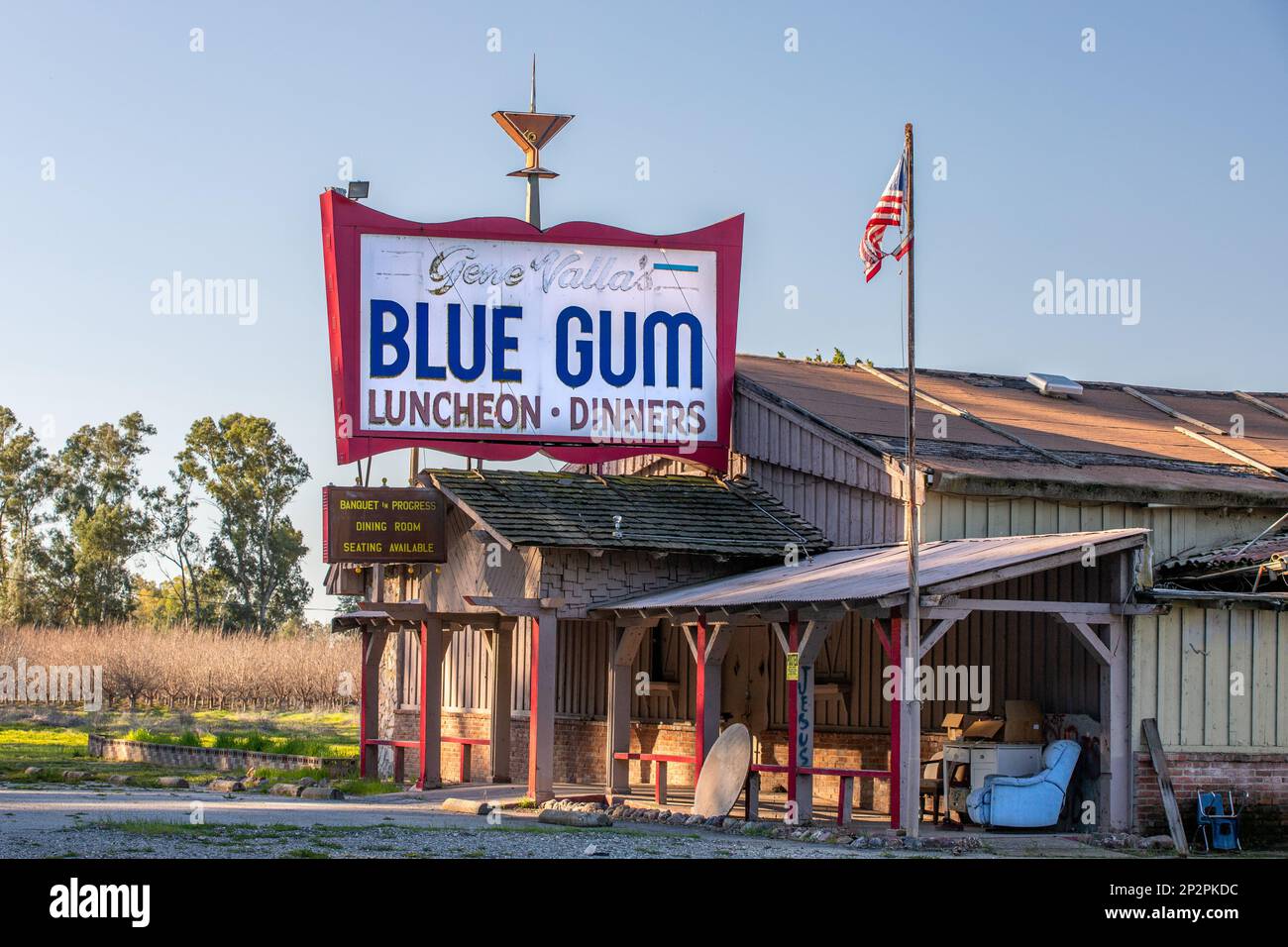 Willows, CA USA Feb 12, 2023 Gene Valla's Blue Gum on HWY 99W Stock