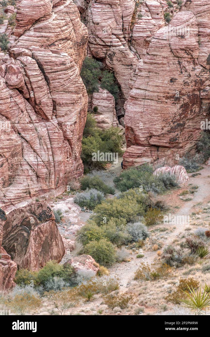 A beautiful, arid, rugged and mountainous scene in the wilderness of Red Rock Canyon in Las Vegas, Nevada, where hikers and conservationists go to enj Stock Photo