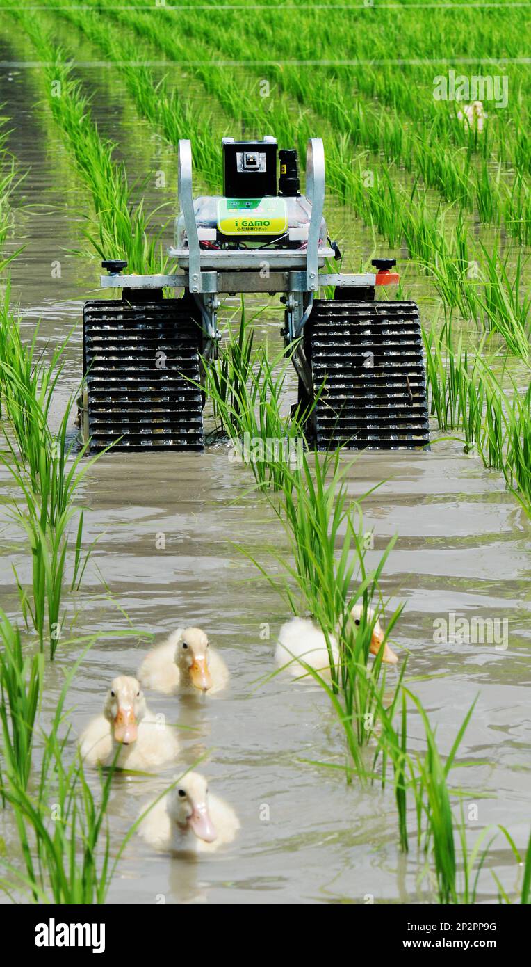 Robot Rice Fields Okayama prefectural government demonstrates a robot to help support to ...