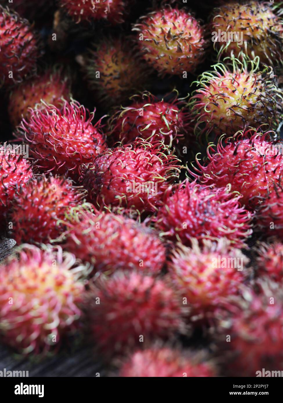 Rambutan fruits, tropical and asian fruits, sweet and Delicious, healthy food contain vitamin and nutrition Stock Photo
