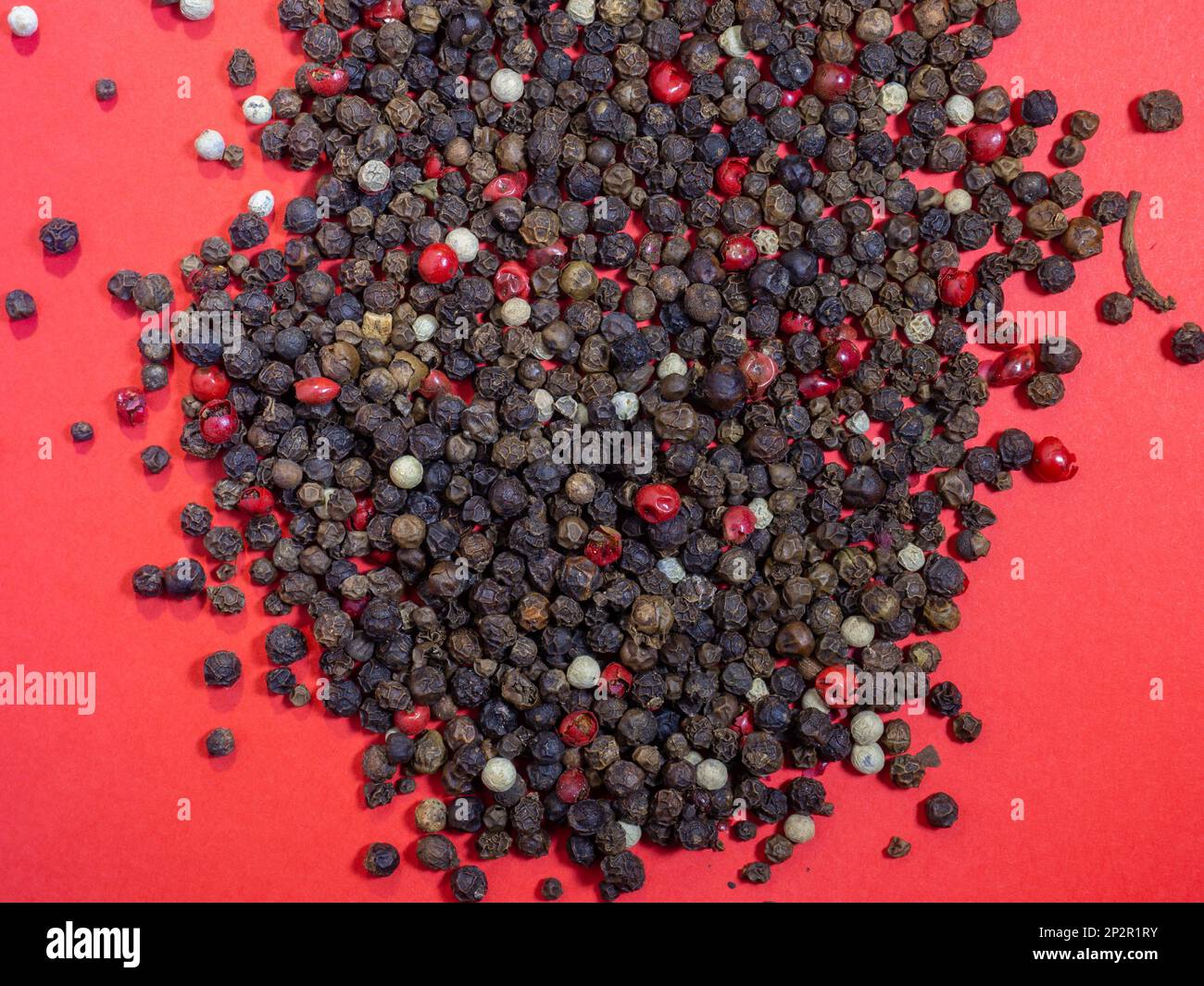 Peppercorns on a red background. Red, white and black peppercorns