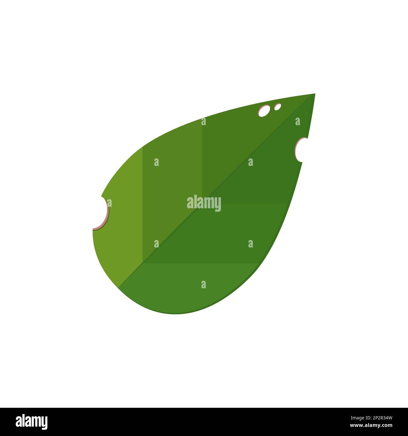 House plants. individual leaves, separate branch with leaves, Design