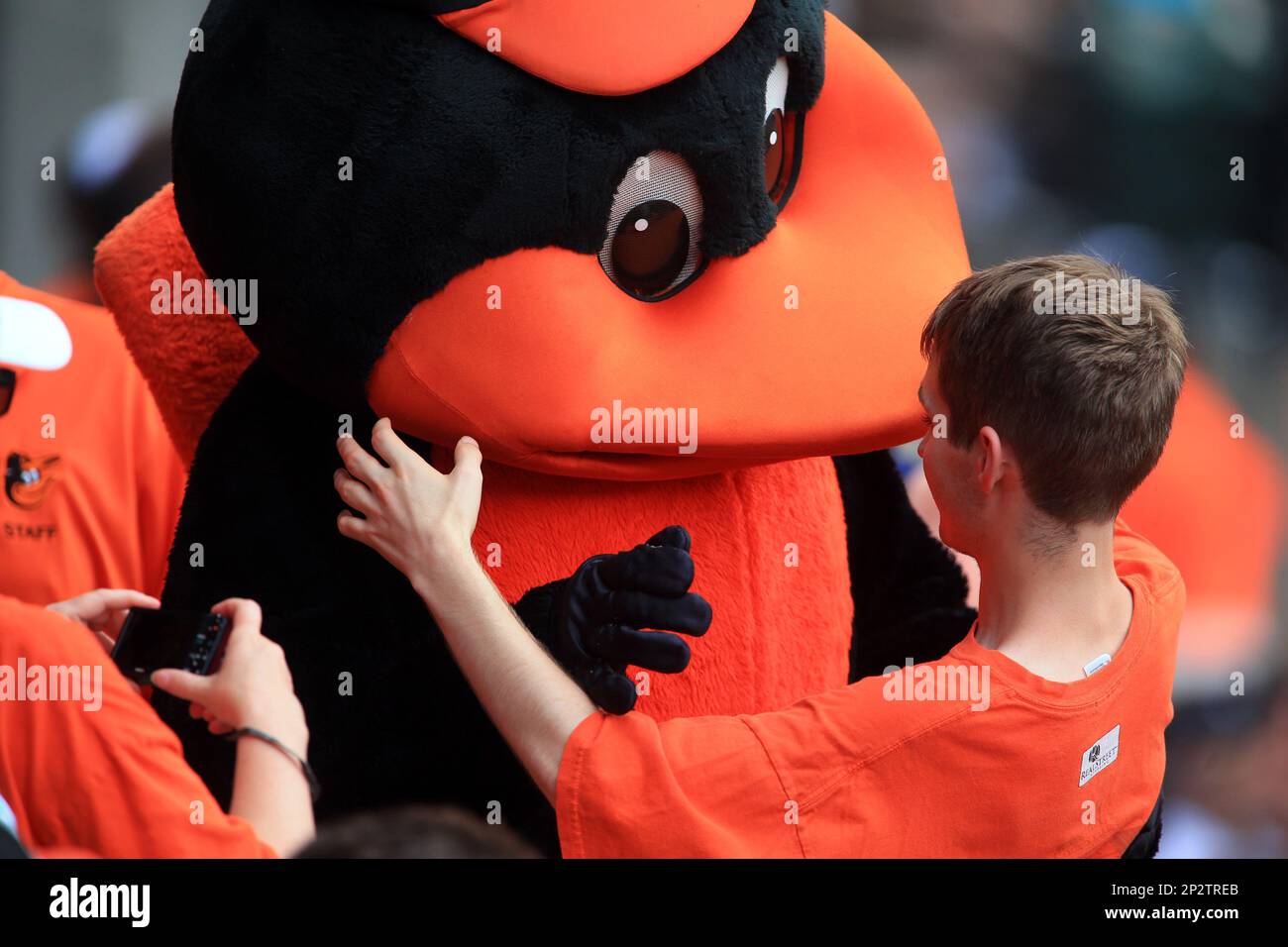 June 14 2015: Bird, the Orioles mascot with a young fan during a MLB game  at Oriole Park against the New york Yankees at Camden Yards, in Baltimore,  MD.Yankees won 5-3. (Icon