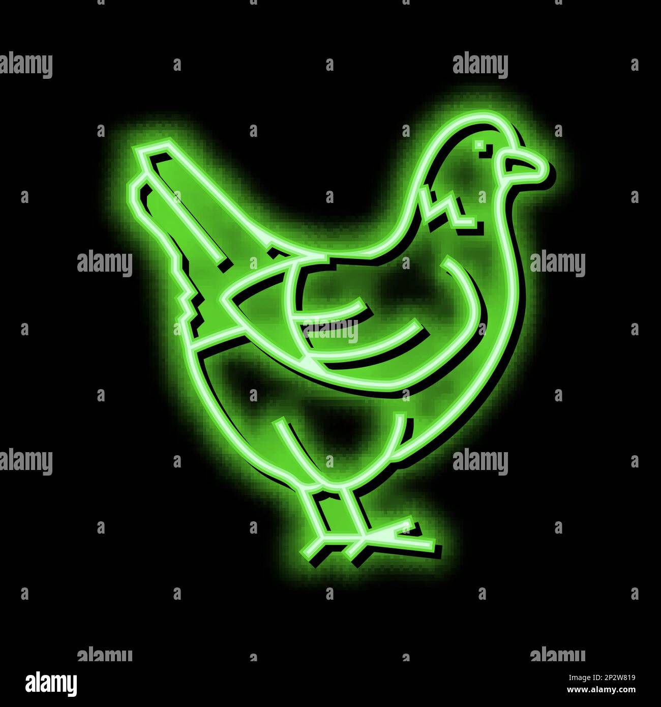 chicken domestic bird neon glow icon illustration Stock Vector Image