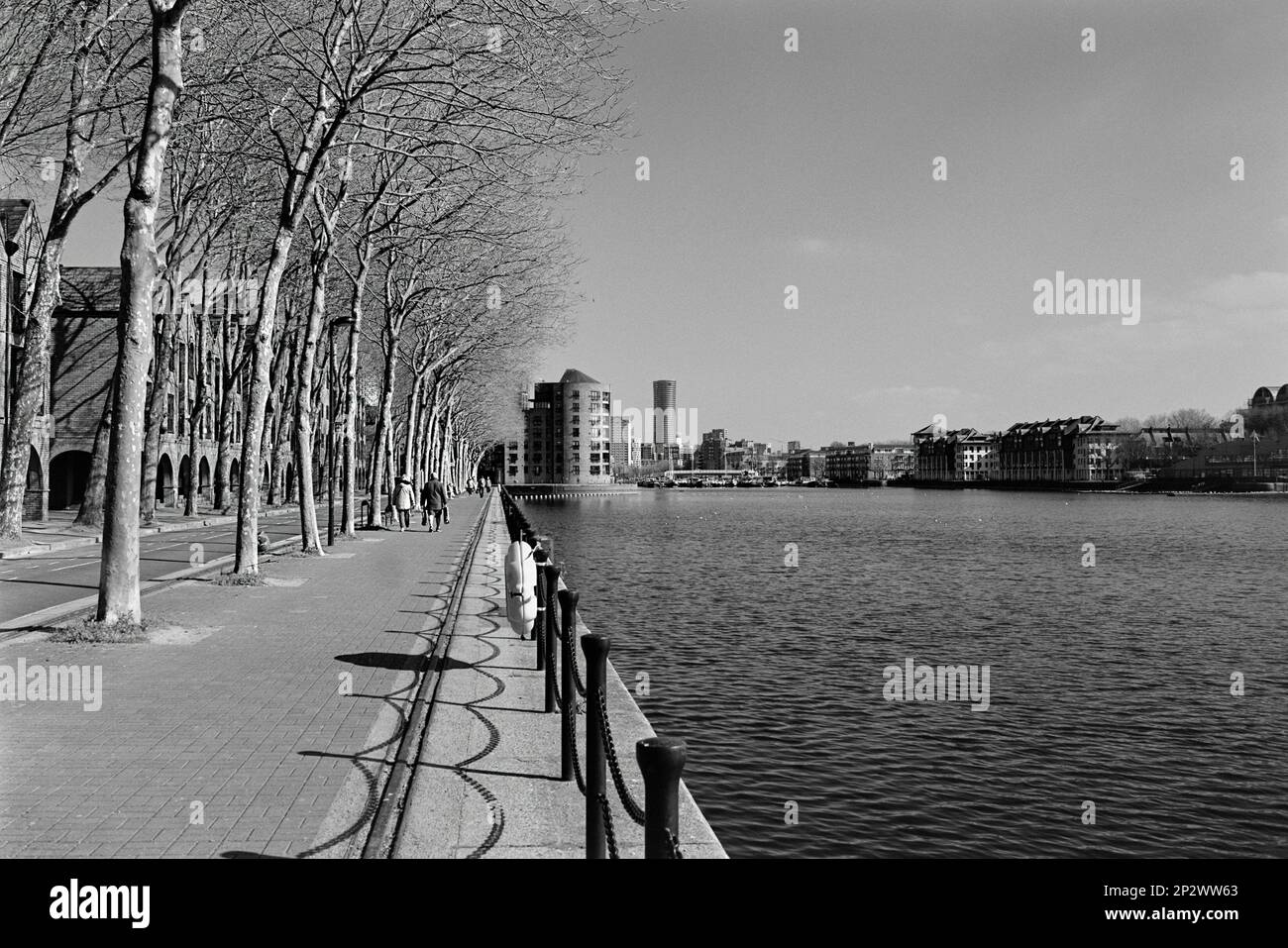 Brunswick Quay on Greenland Dock, London UK, looking east towards the Isle of Dogs, in monochrome Stock Photo