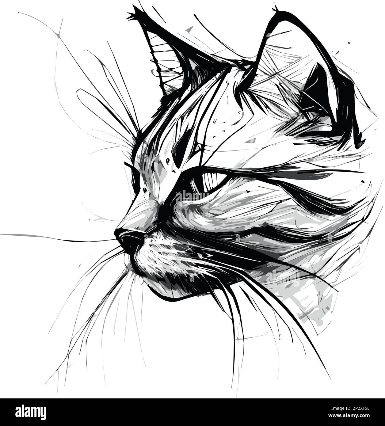 cat face side view drawing