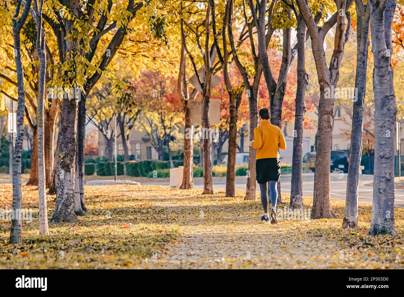 View from the back of man running on the quiet street with autumn trees on both sides and yellow leaves on the ground Stock Photo