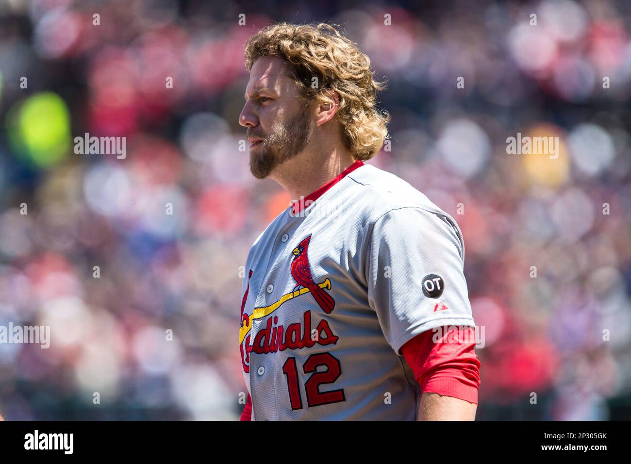 CLEVELAND, OH - JULY 28: Yadier Molina (4) of the St. Louis Cardinals looks  on while waiting to bat during a game against the Cleveland Indians at Pro  Stock Photo - Alamy