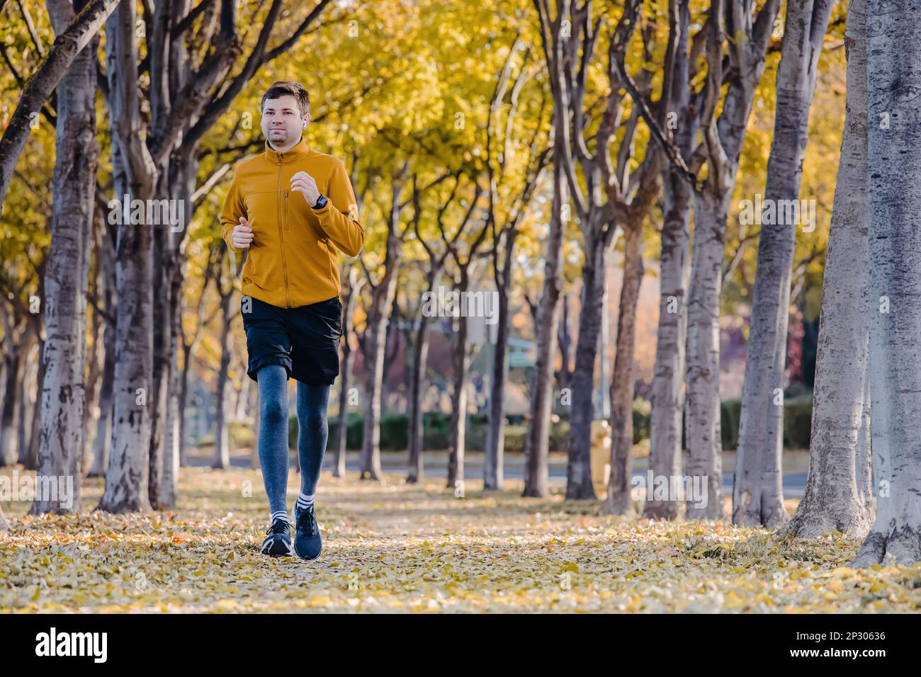 Man running on the street with lots of yellow leaves on the ground, jogging, fitness outdoors Stock Photo