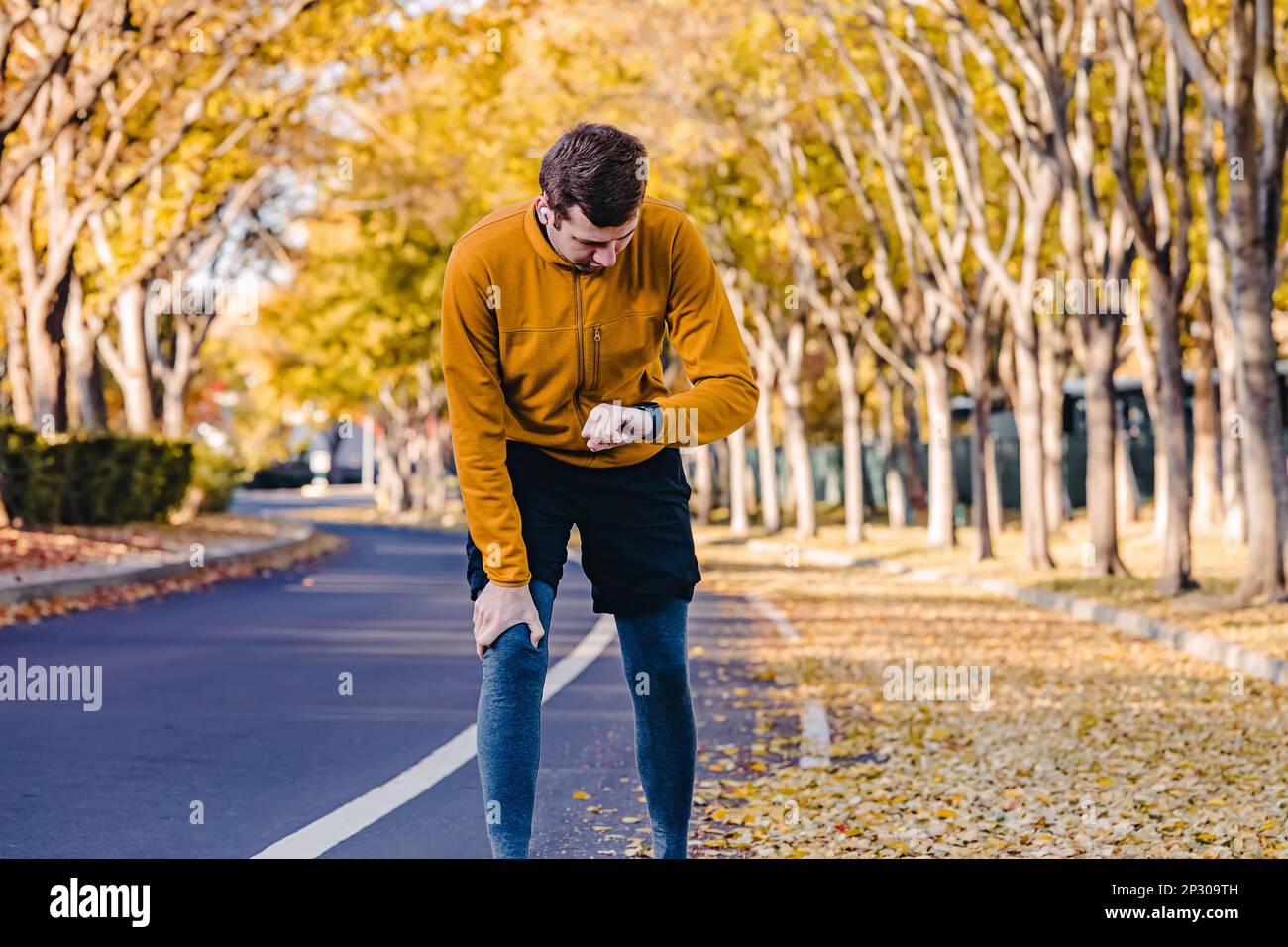 Man runner checking his pulse on the fitness tracker while exercising outdoors in autumn. Trees with yellow leaves on the background Stock Photo