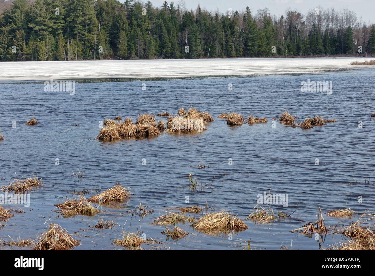 Spring thaw on a lake. Quebec,Canada Stock Photo