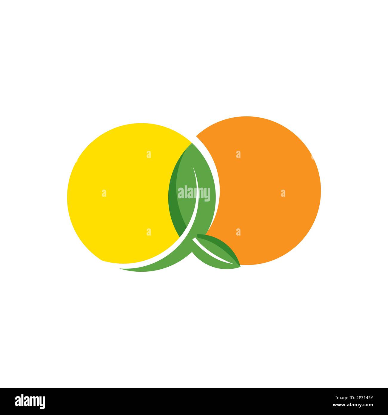 orange fruit logo vector concept, icon, element, and template for