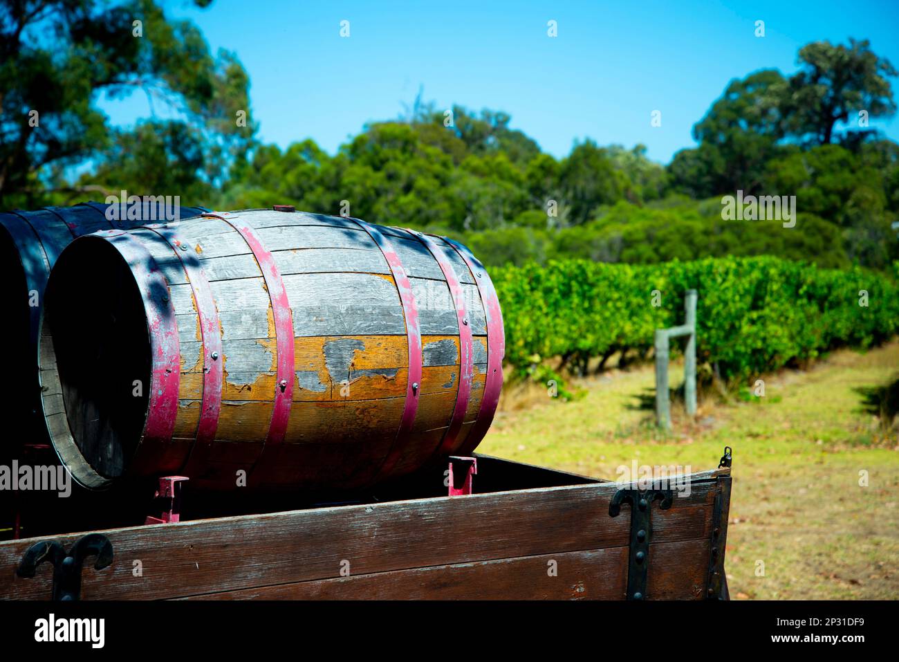 Vineyard Margaret River Australia Stock Photo Alamy