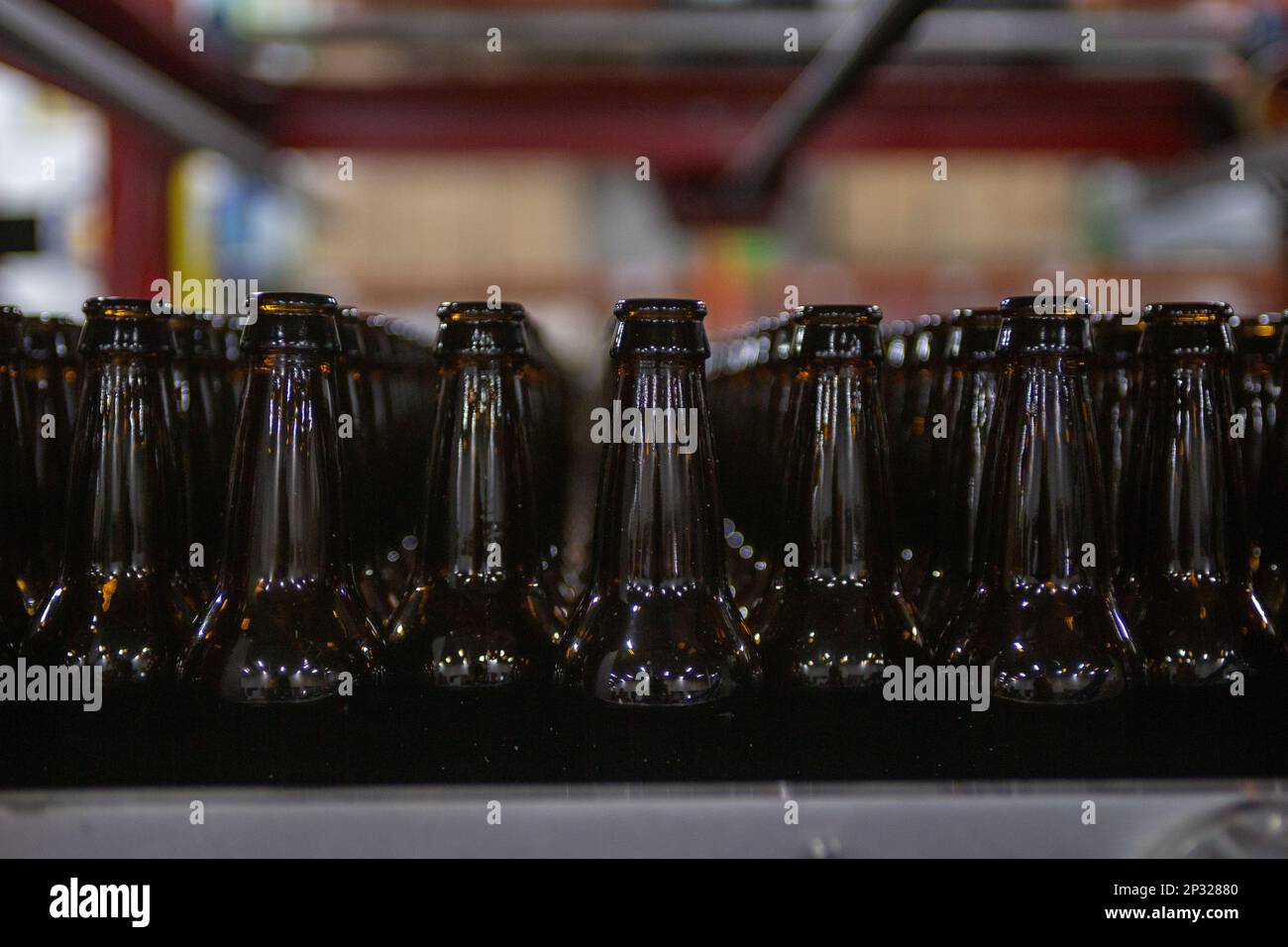 Empty Beer Bottles ready to be filled Stock Photo Alamy