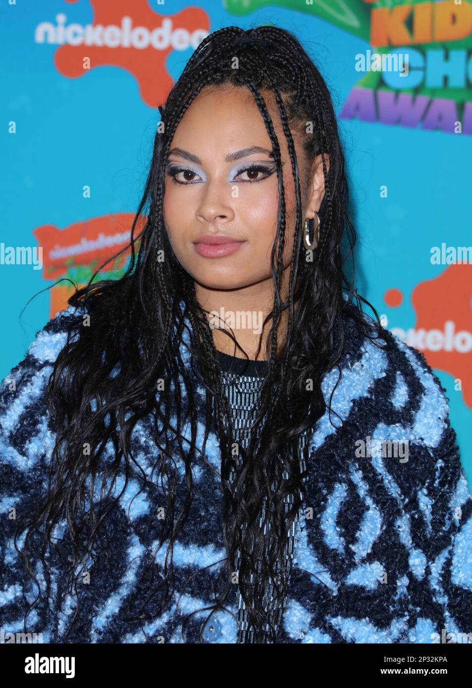 Los Angeles Rainbow Braids