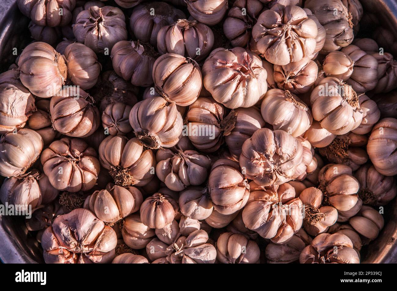 Fresh garlic cloves for sale at The Russian Market, Phnom Penh