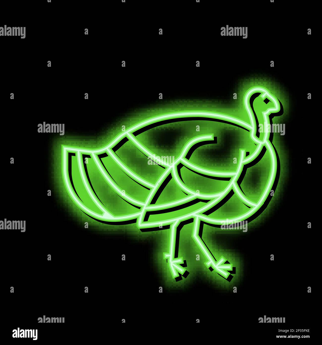 turkey bird neon glow icon illustration Stock Vector Image & Art - Alamy