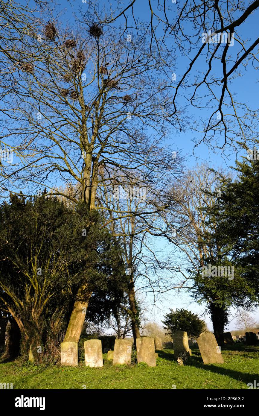 Rookery and Graavstones in St Michael and All Angels Church Grounds in Leafield Stock Photo