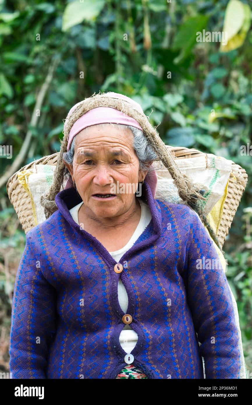 Old Nepalese woman carrying stones for road construction on her back