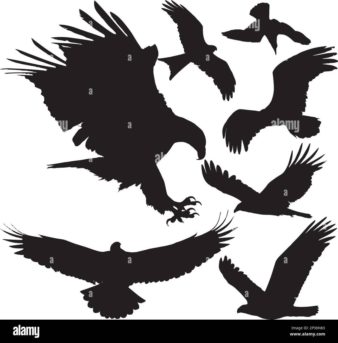 Birds of prey (eagle, hawk, falcon, griffon vulture etc.) vector silhouettes on white background. Layered. Fully editable Stock Vector