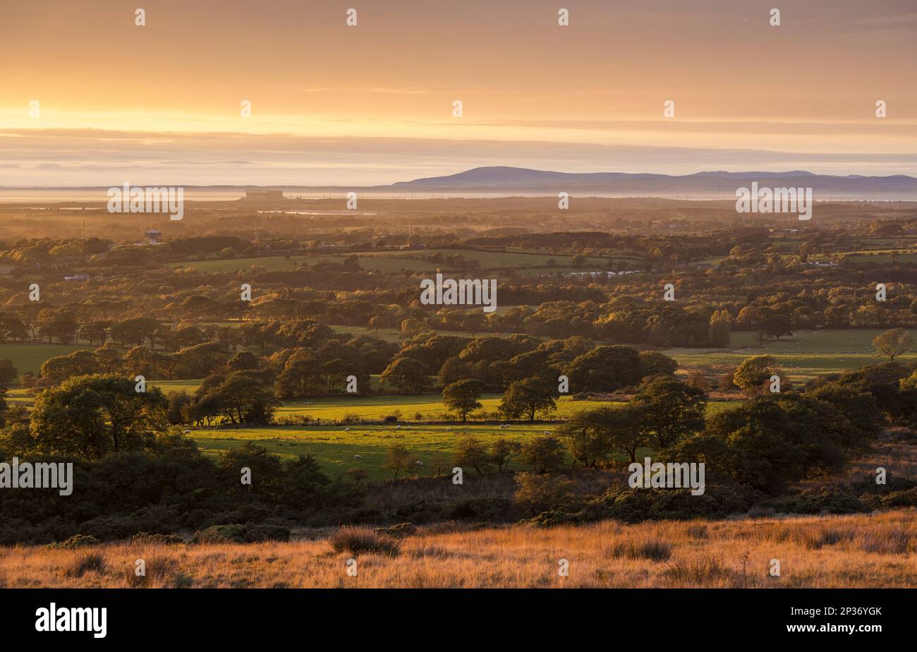 View of farmland on the coastal plain at sunset, looking towards Morecambe Bay with the fells of the Lake District in the background, The Fylde Stock Photo