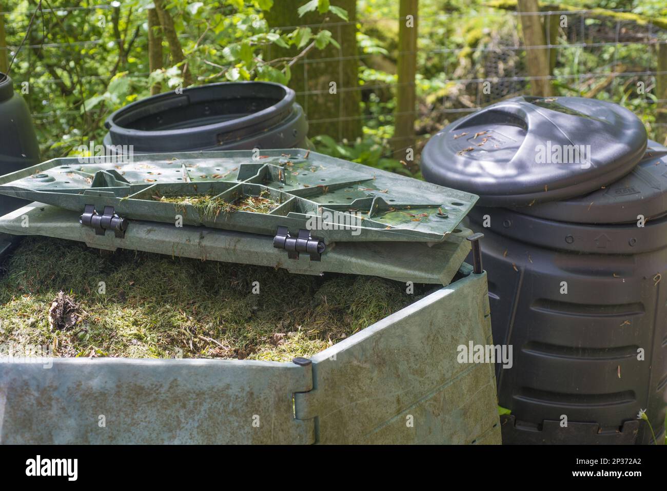Mowing grass in garden compost bins, Kirk House, Chipping, Preston