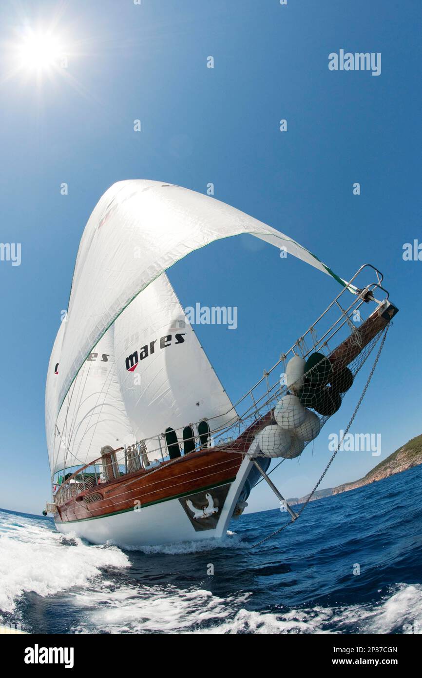 Sailing ship under full sail, jib, bow, bow wave, wind, full speed ahead, windjammer, Europe