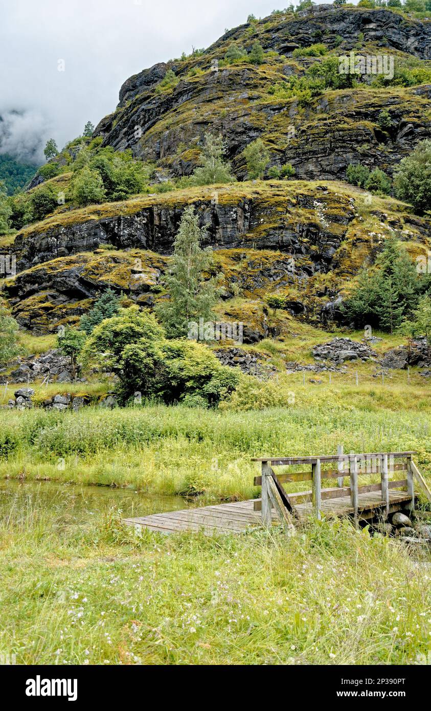 Travel destination north of Europe: View of Flam landscape, Norway. Beautiful view of Norwegian lanscape in Flam. 15th of July 2012 Stock Photo