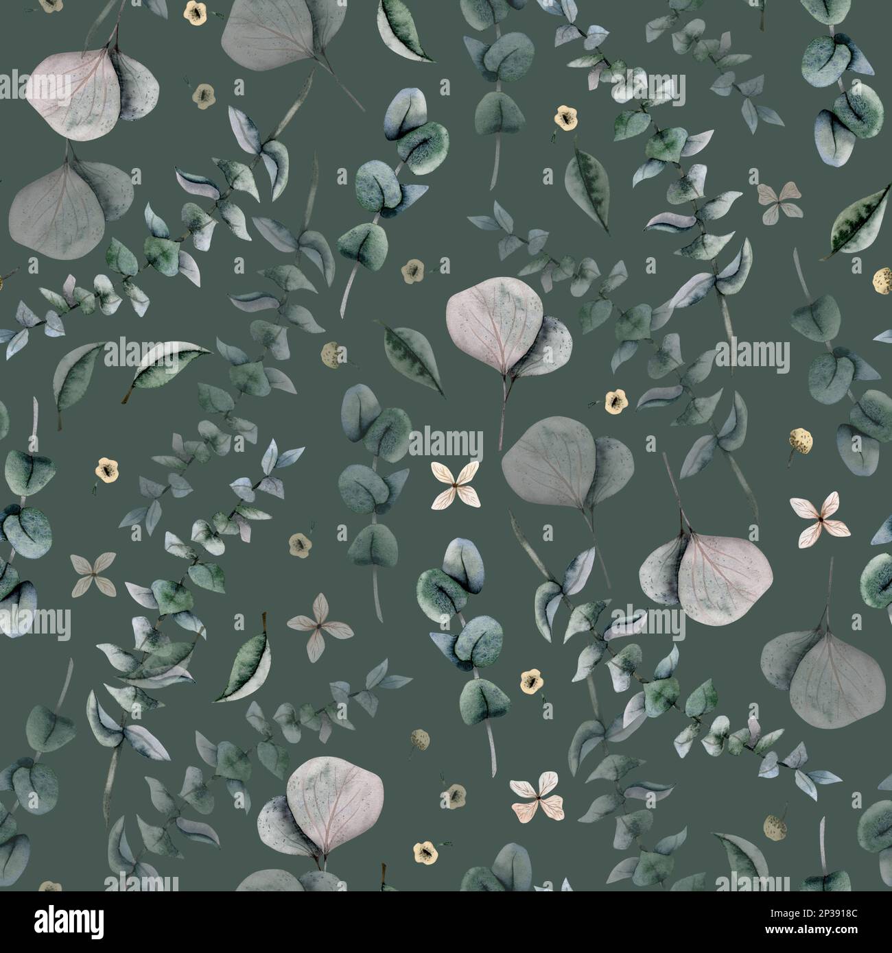 Dusty green seamless watercolor floral pattern with eucalyptus branches and flowers on dark background. Stock Photo